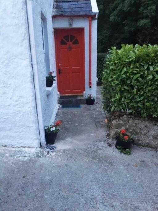 Maggie'S Cottage Thurles Dış mekan fotoğraf